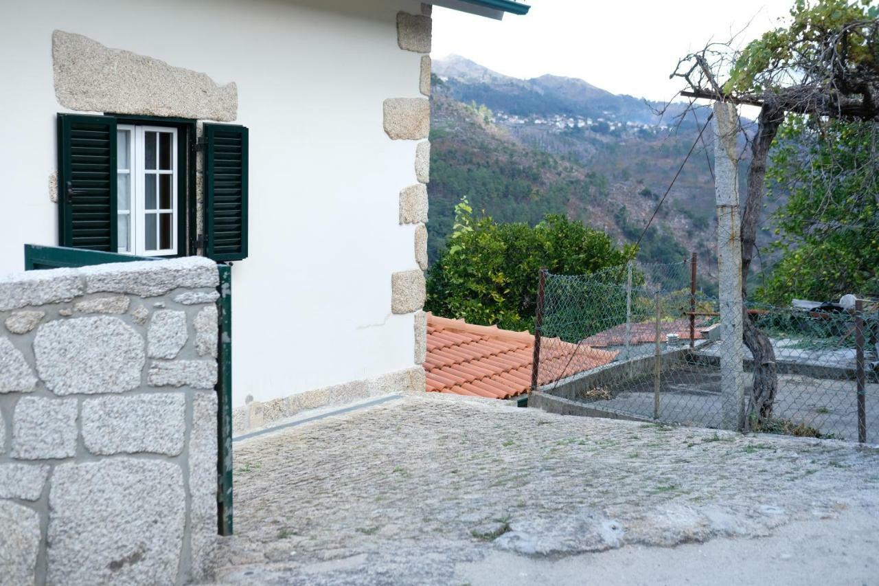 Casa Velha Holiday home *