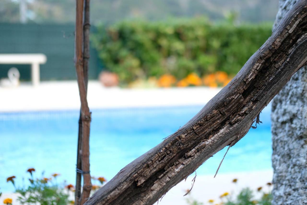Holiday home Casa Velha