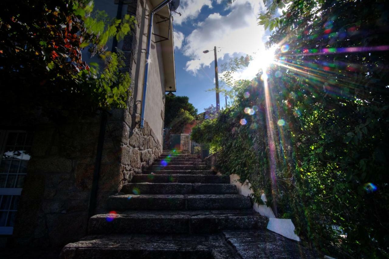 Casa Velha