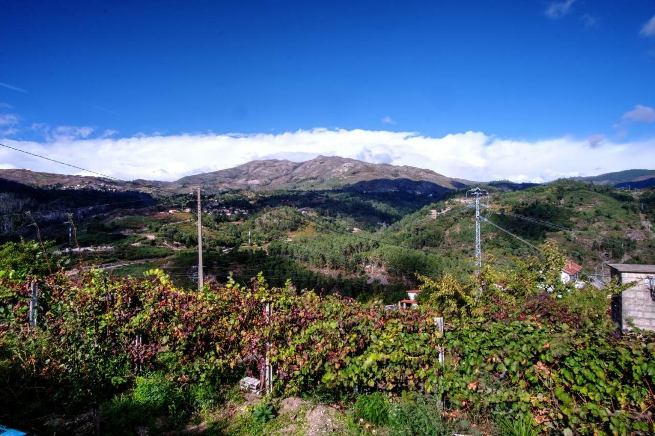 Casa Velha